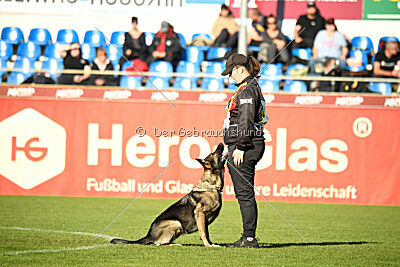 Tika van Arne`s Hoeve